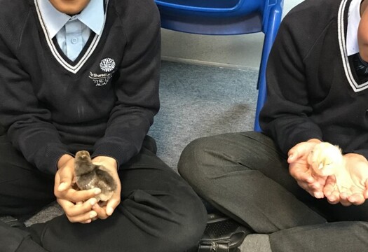 4B7DF6F8 88BE 41CE 961B ADBE6995D5D0 (1)